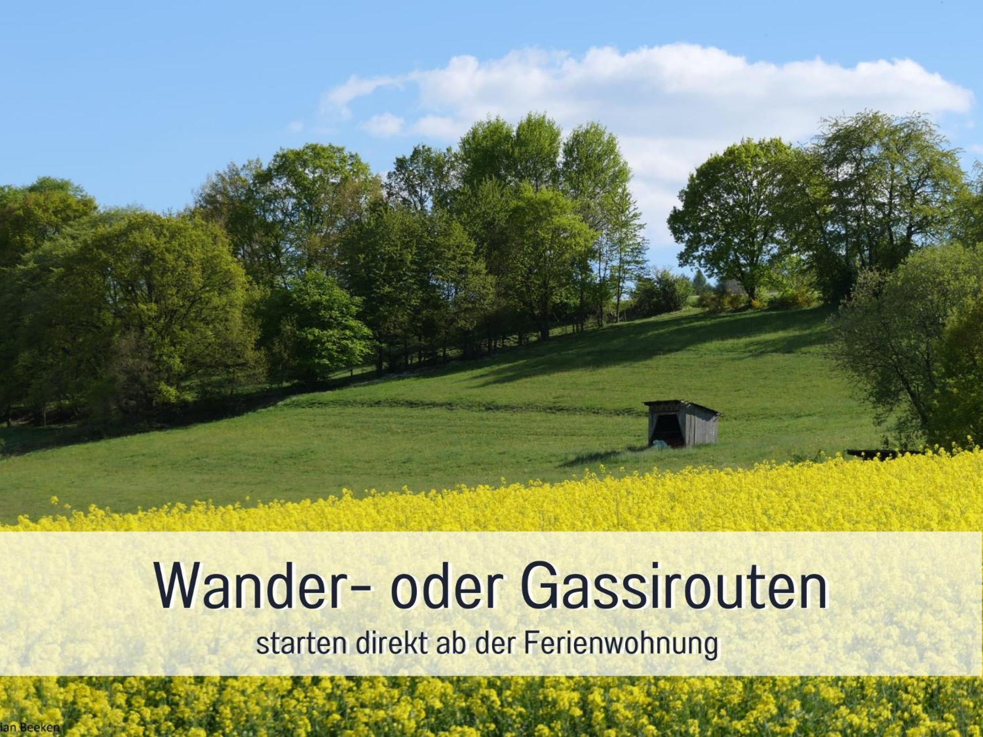 Am Feldrain - Urlaub Mit Hund Im Weserbergland Munden  Exterior photo